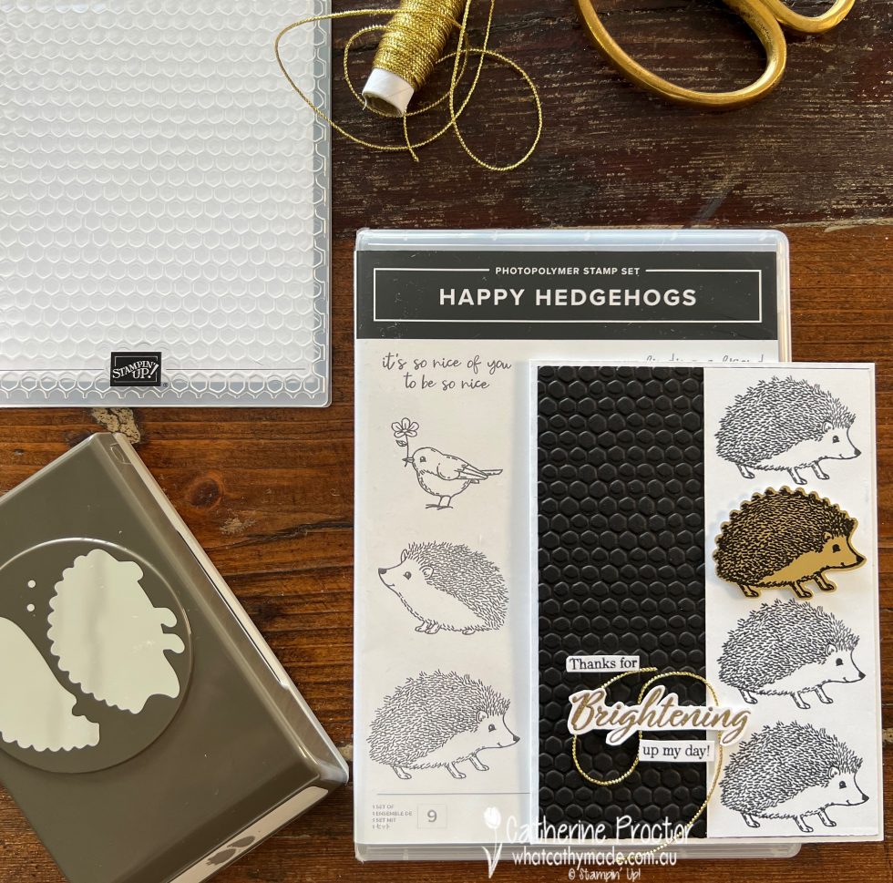 Caseing The Catty With Happy Hedgehogs Bundle What Cathy Made