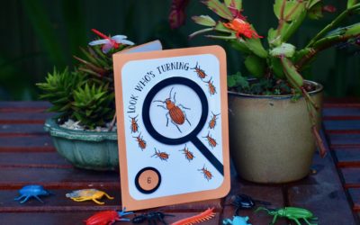 Stamping’ Up! Beetles and Bugs Birthday Card