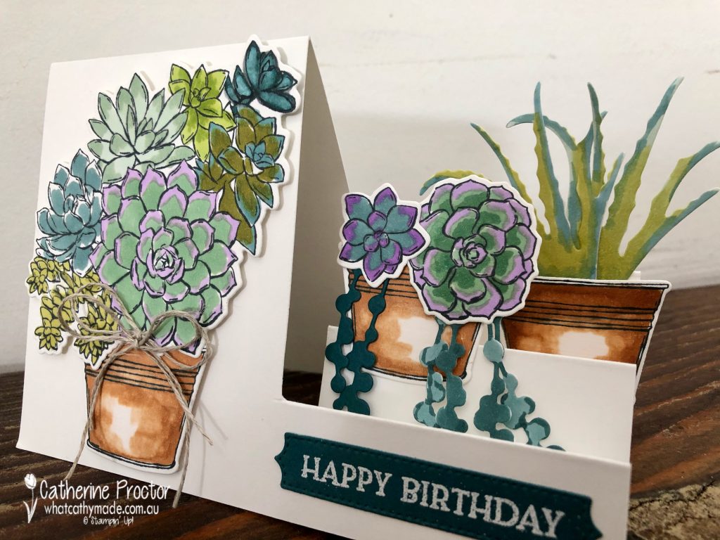 https://whatcathymade.com.au/wp-content/uploads/2021/02/Stampin-up-simply-succulents-birthday-card-pretty-peacock-1024x768.jpg