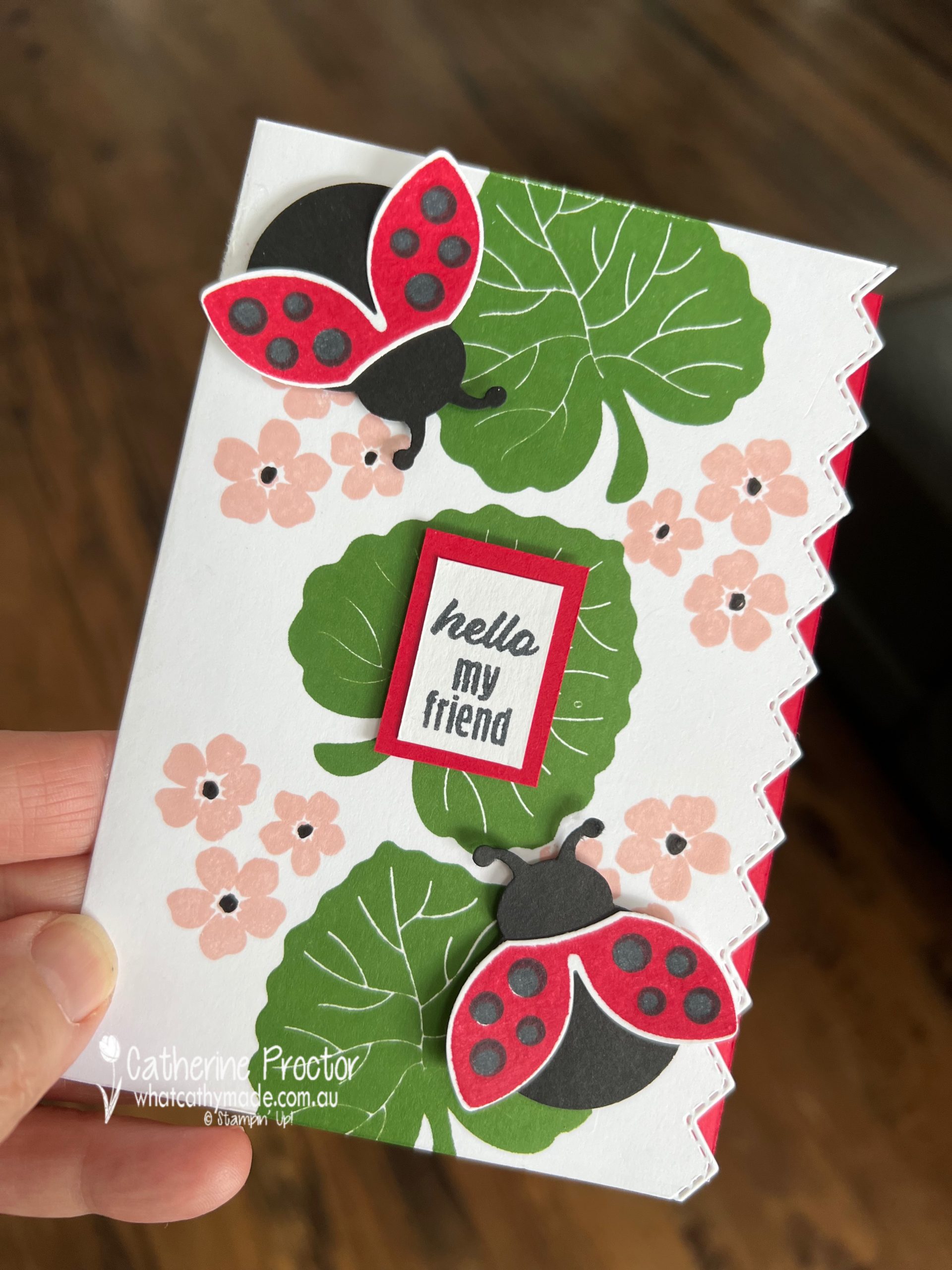 Real Red Hello Ladybug card - AWH Colour Creations - What Cathy Made