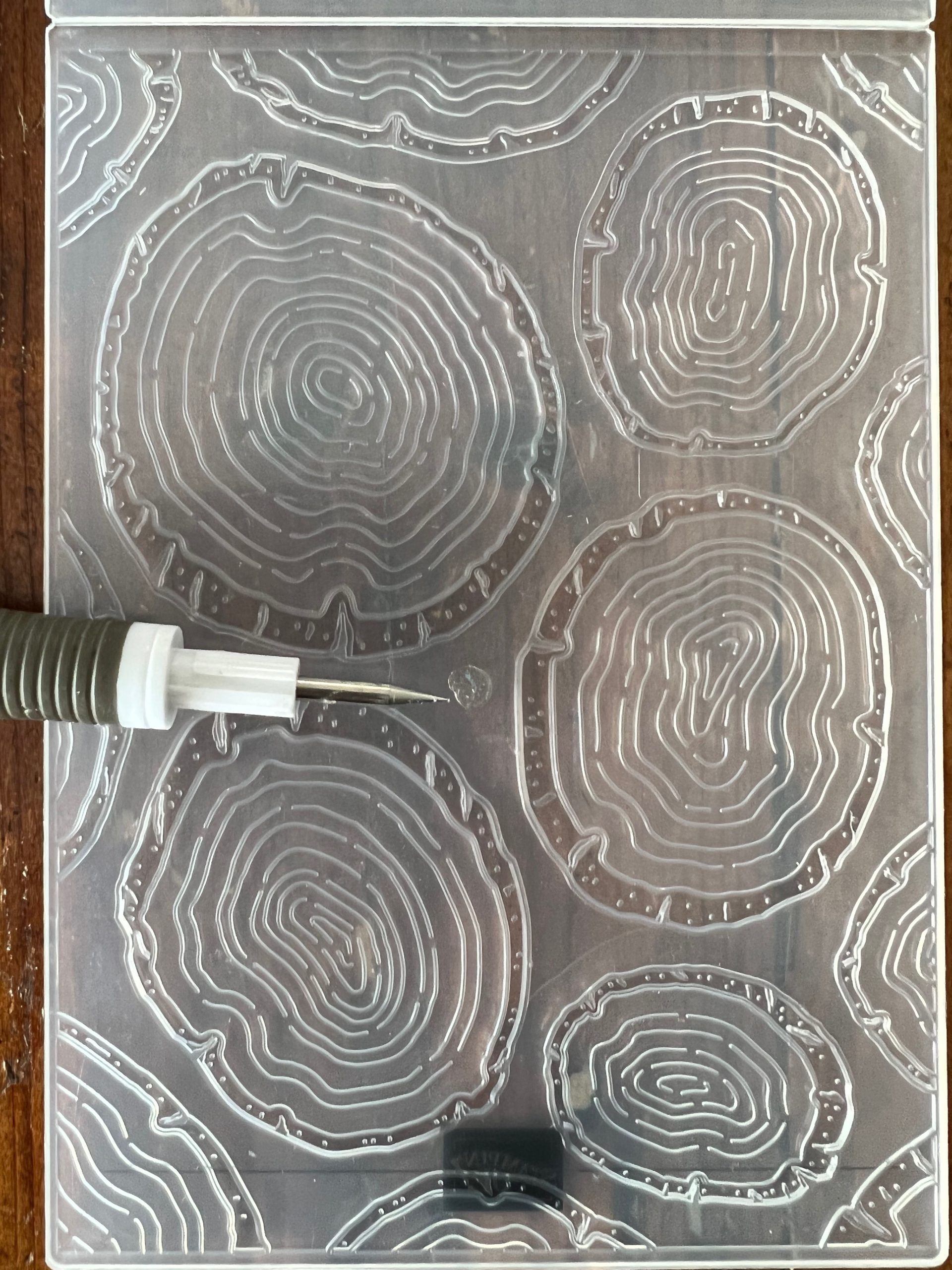 Allinone Tree Rings Hybrid Embossing Folder Archives What Cathy Made