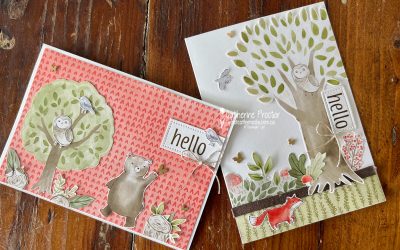 Stampin’ Up! AWH Colour Creations Soft Suede Card