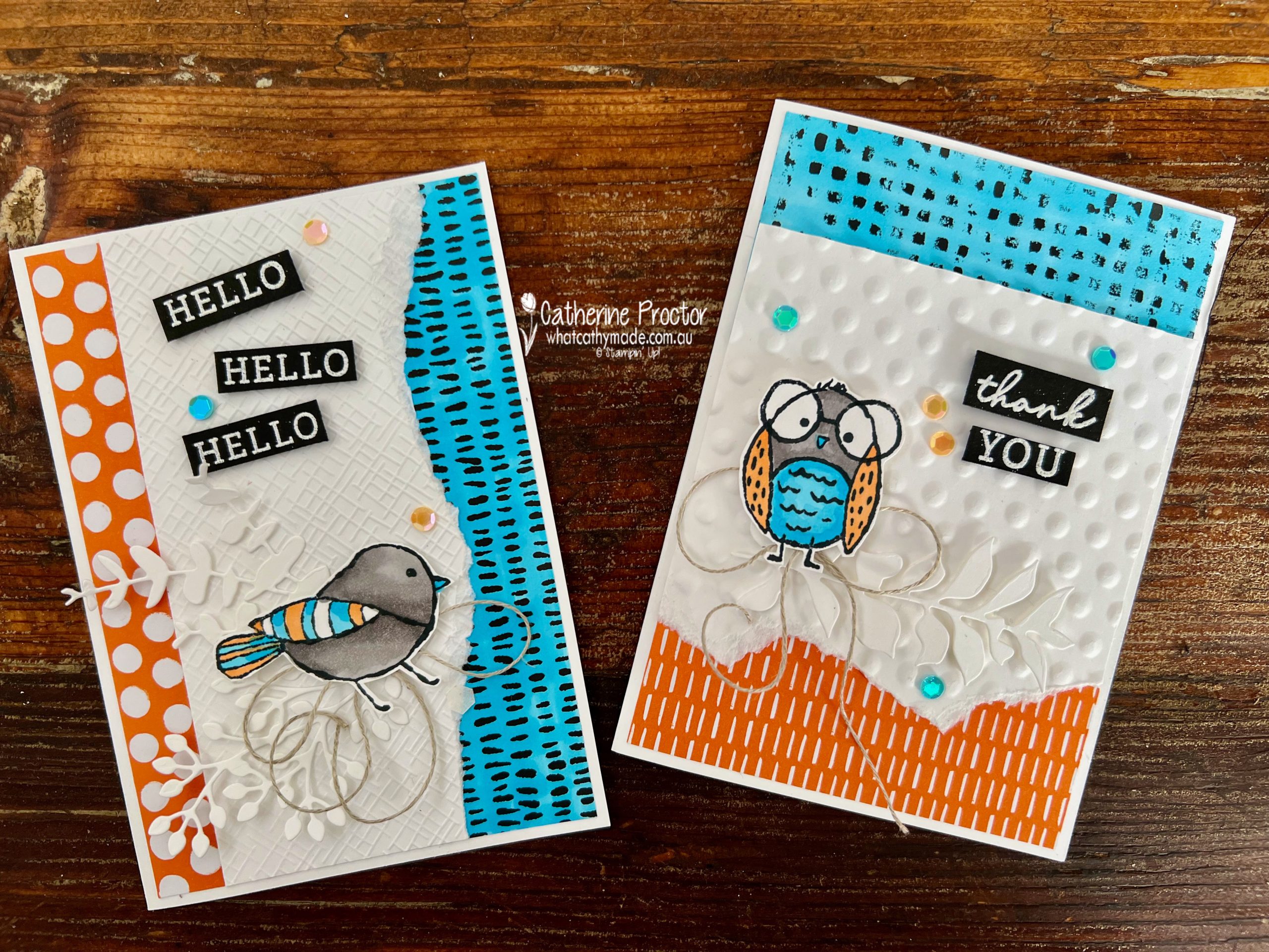 AWH Colour Creations Tahitian Tide Birds Eye View Cards - What Cathy Made