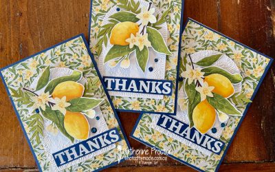 Stampin’ Up! Daffodil Delight Cards  