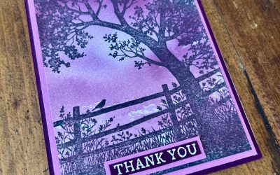 Simple Stamping Blackberry Bliss Peaceful View Thank You Card